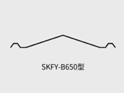SKFY-B650